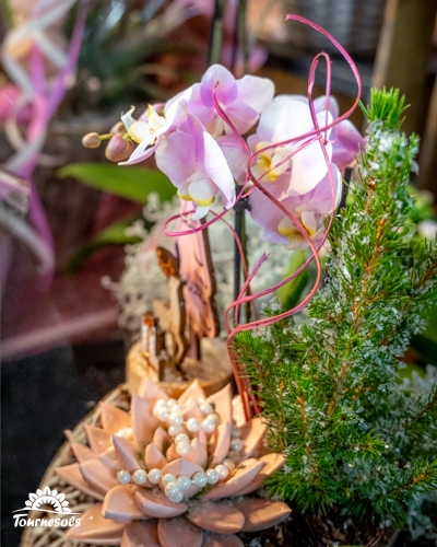 Arrangement floral en pot avec orchidée, sapin, et décoration perlière.